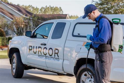 pest control companies near puyallup.